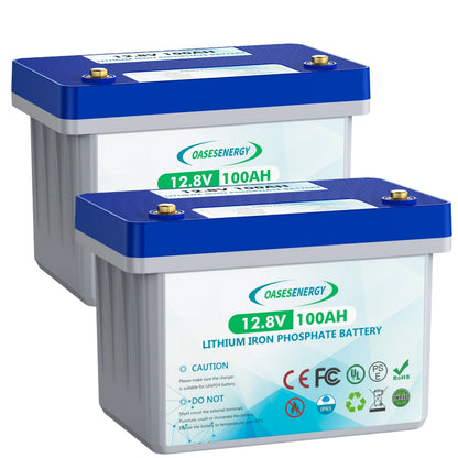 12.8v 100ah LiFePO4 Battery