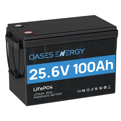 Oasesenergy 24V 100Ah LiFePO4 Lithium Battery,Upgraded Mini Size Deep Cycle Battery With 100A BMS,Perfect for RV, Camping, Marine, Solar Home System