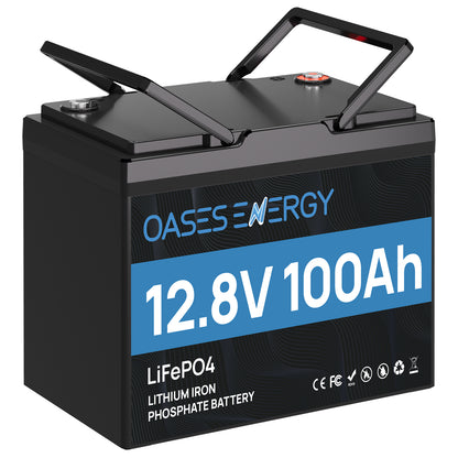 12V 100Ah Mini LiFePO4 Battery, BCI Group 24 Size Built-in 100A BMS