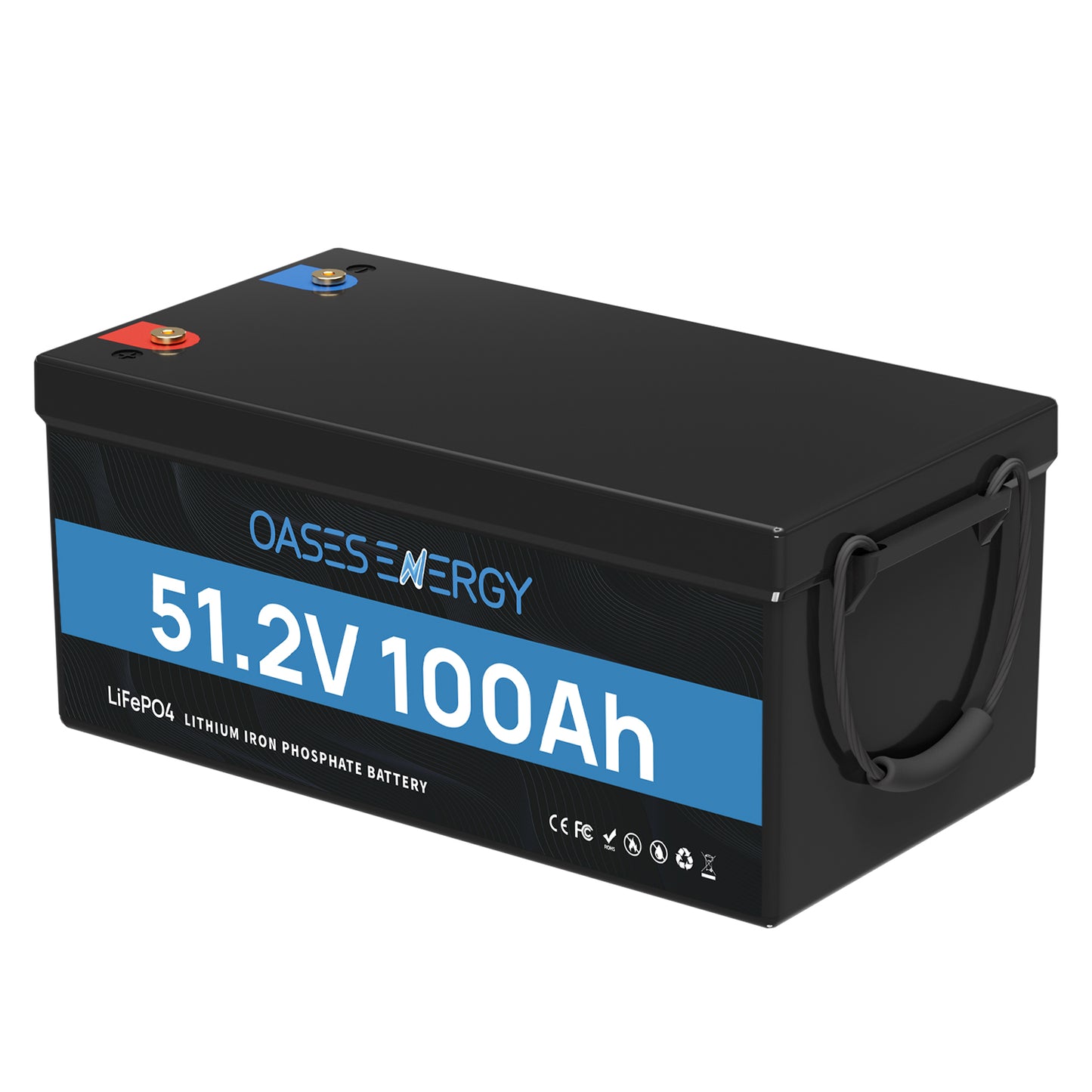 48V 100Ah LiFePO4 Lithium Battery, Build-in 100A BMS  for RV, Camper, Solar Energy Storage, Boats, Off Grid