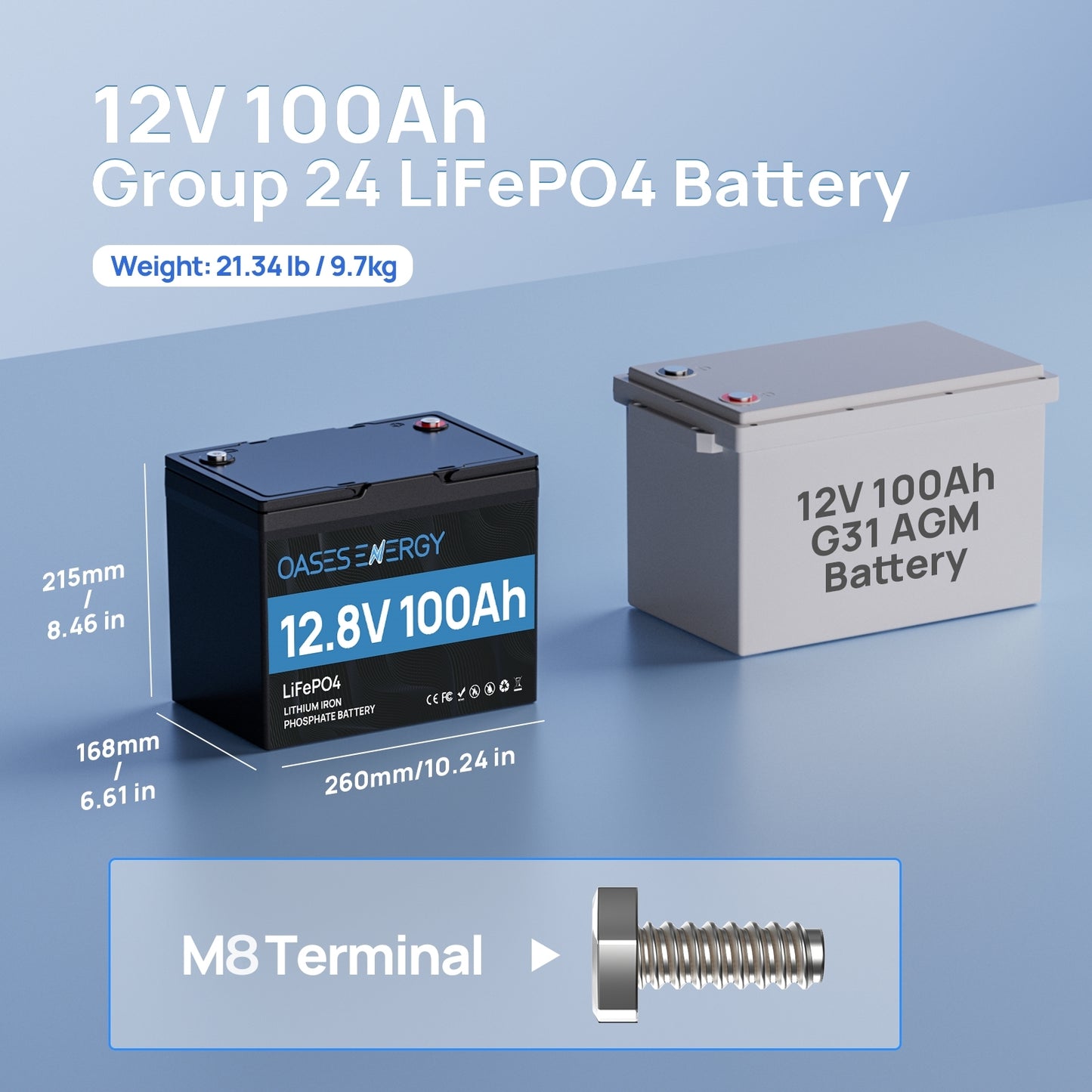 12V 100Ah Mini LiFePO4 Battery, BCI Group 24 Size Built-in 100A BMS