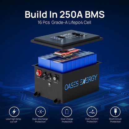 48V 105Ah Lithium Golf Cart Battery, 250A BMS, with Touch Monitor & Mobile APP, with 20A Charger