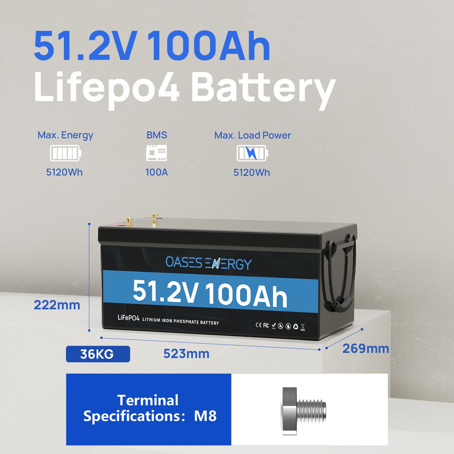 48V 100Ah LiFePO4 Lithium Battery, Build-in 100A BMS  for RV, Camper, Solar Energy Storage, Boats, Off Grid