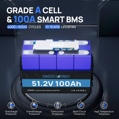 48V 100Ah LiFePO4 Lithium Battery, Build-in 100A BMS  for RV, Camper, Solar Energy Storage, Boats, Off Grid