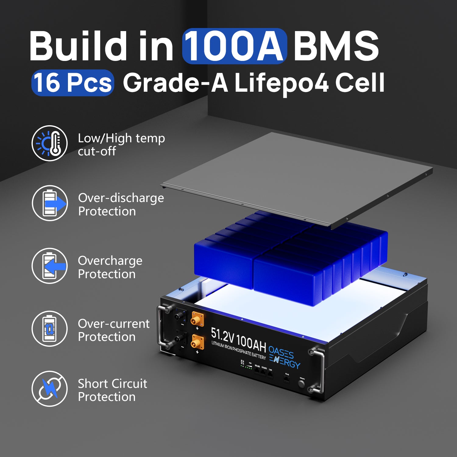 Build in 100Ah BMS 