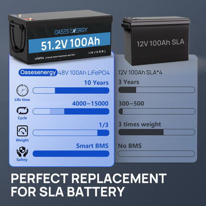 48V 100Ah LiFePO4 Lithium Battery, Build-in 100A BMS  for RV, Camper, Solar Energy Storage, Boats, Off Grid